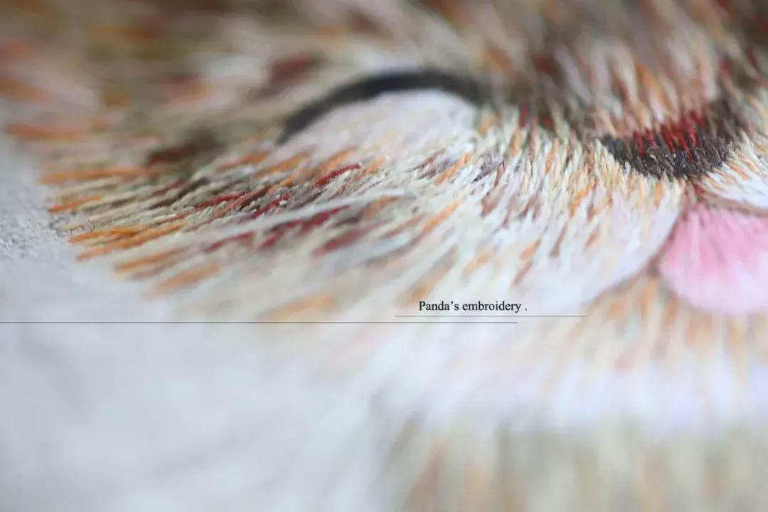 美女用针线“撸猫”，斩获国际大奖，网友惊呼：“这猫要活了！”