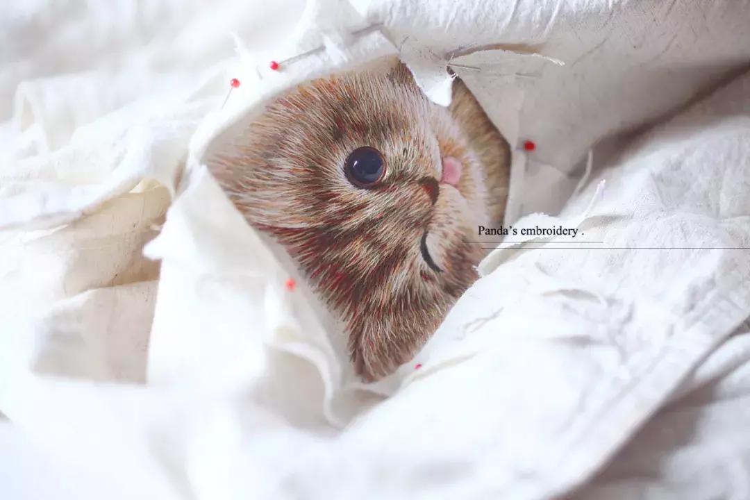 美女用针线“撸猫”，斩获国际大奖，网友惊呼：“这猫要活了！”