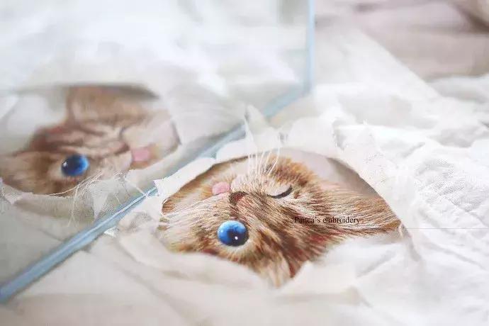 美女用针线“撸猫”，斩获国际大奖，网友惊呼：“这猫要活了！”