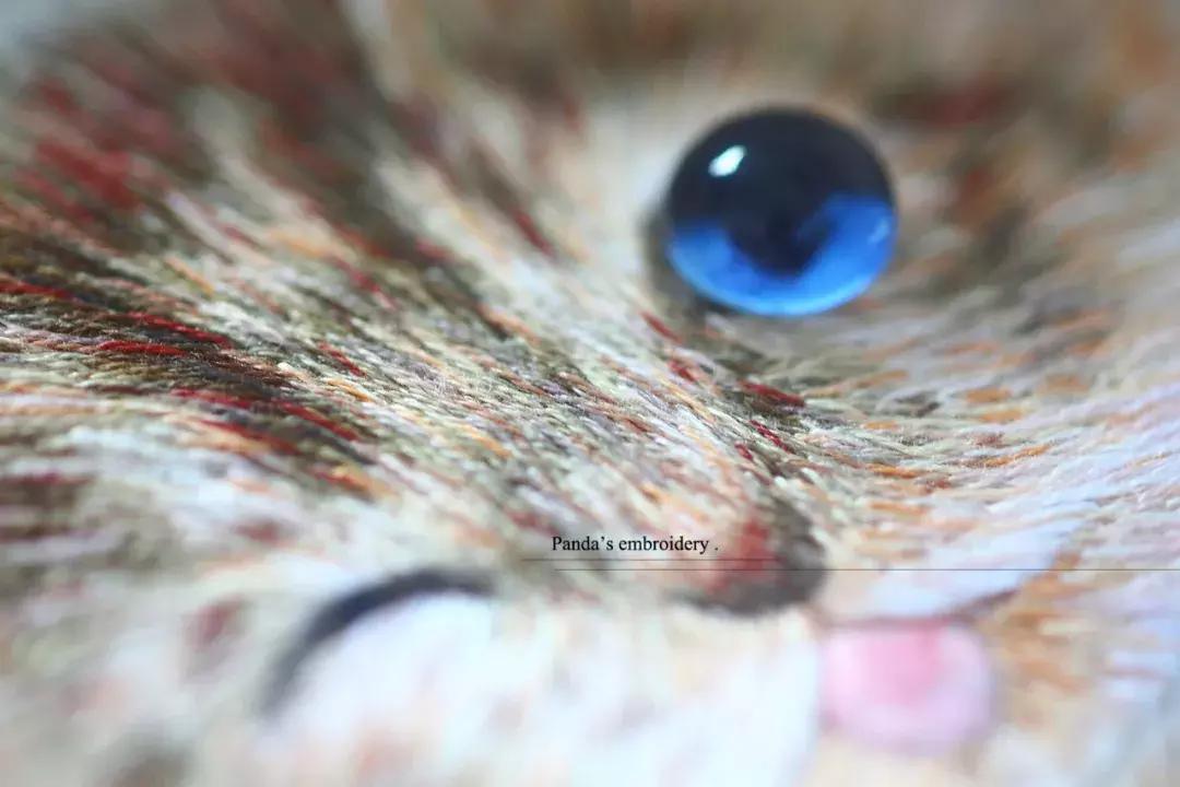 美女用针线“撸猫”，斩获国际大奖，网友惊呼：“这猫要活了！”