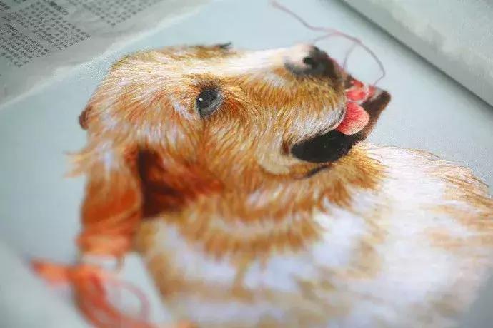 美女用针线“撸猫”，斩获国际大奖，网友惊呼：“这猫要活了！”