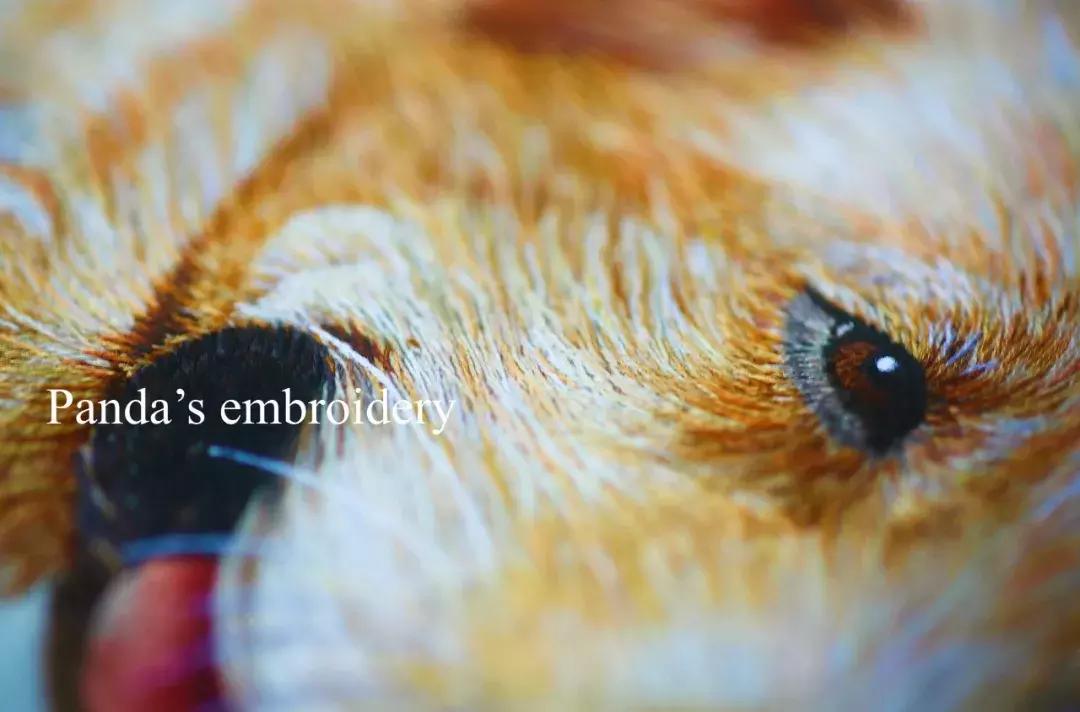 美女用针线“撸猫”，斩获国际大奖，网友惊呼：“这猫要活了！”