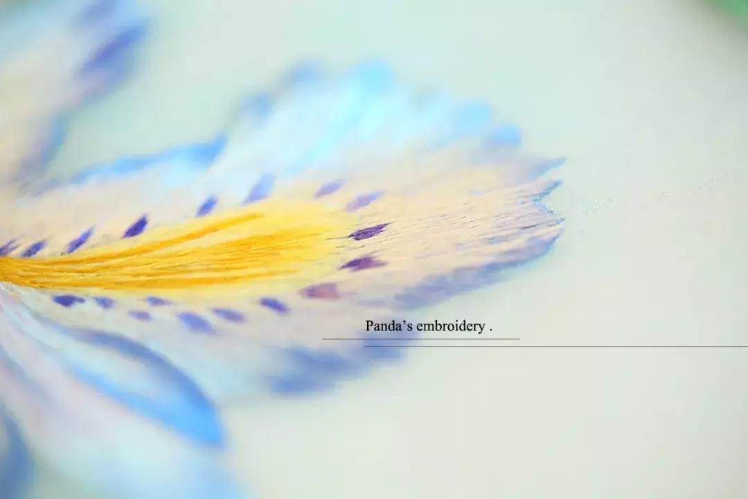 美女用针线“撸猫”，斩获国际大奖，网友惊呼：“这猫要活了！”