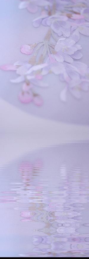 美女用针线“撸猫”，斩获国际大奖，网友惊呼：“这猫要活了！”