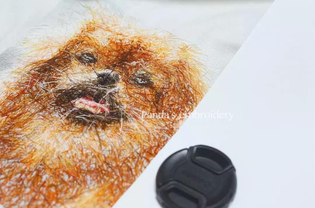 美女用针线“撸猫”，斩获国际大奖，网友惊呼：“这猫要活了！”