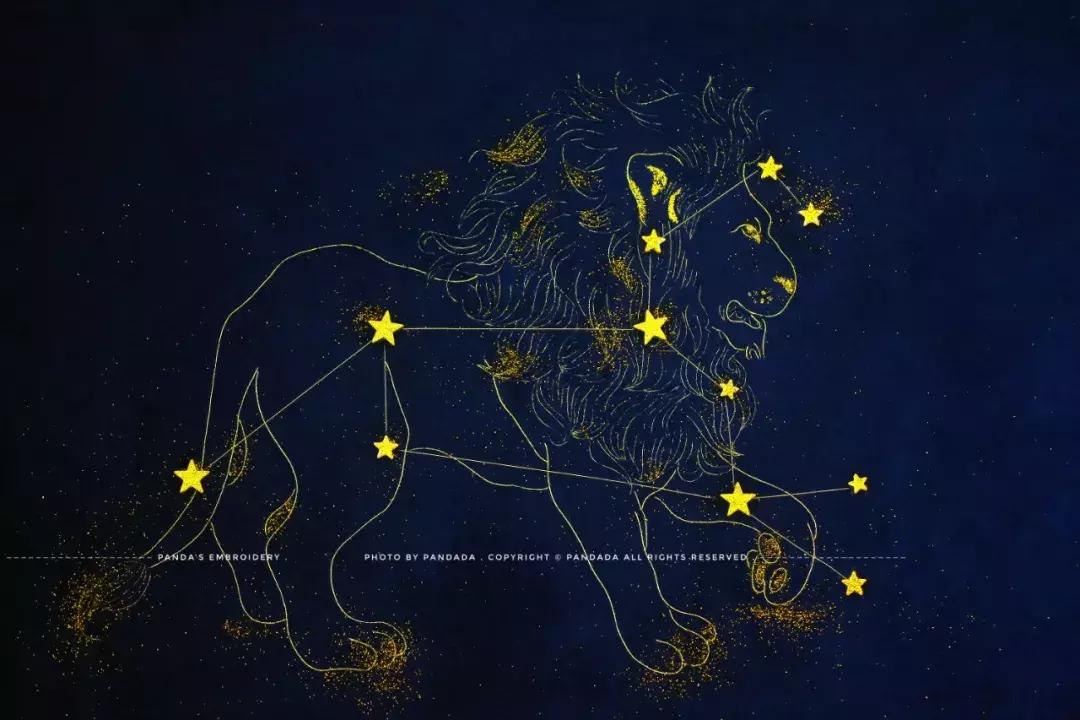 美女用针线“撸猫”，斩获国际大奖，网友惊呼：“这猫要活了！”