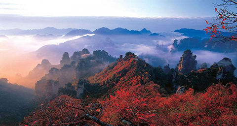 张家界游管家国际旅行社靠谱吗,张家界管家旅行