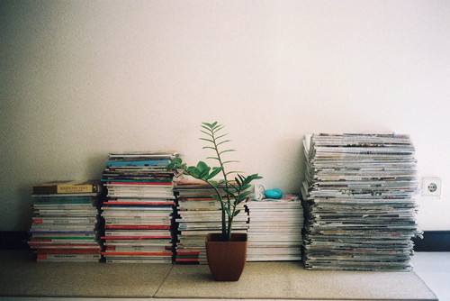 校园一角的好词好句好段,描写校园的好词好句好段