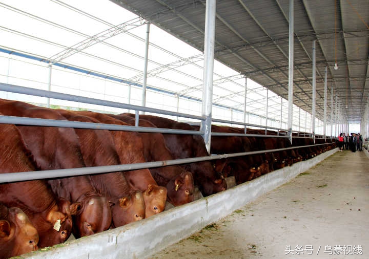 贫困怎么摆脱,怎样摆脱贫困家庭