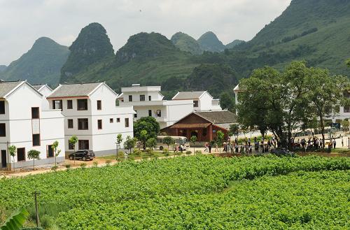 广西百色种桑养蚕补贴政策,广西环江县农业扶持力度