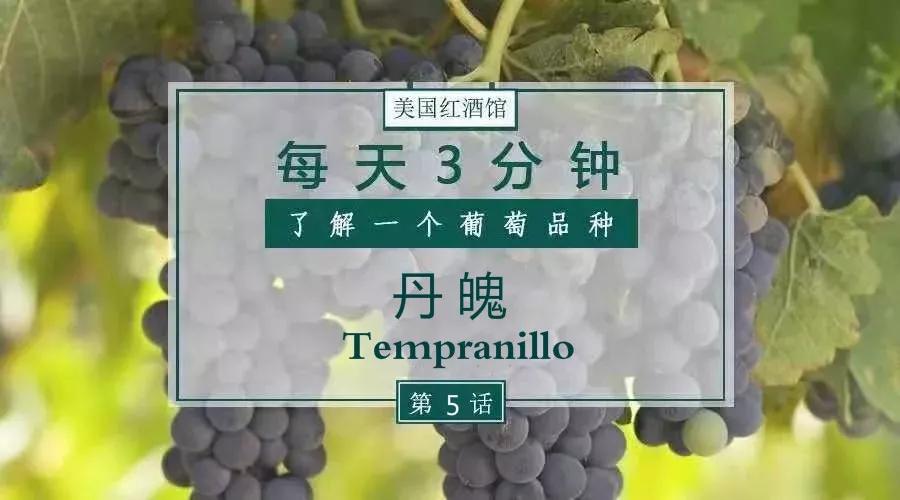 丹魄葡萄,澳大利亚的丹魄葡萄品种