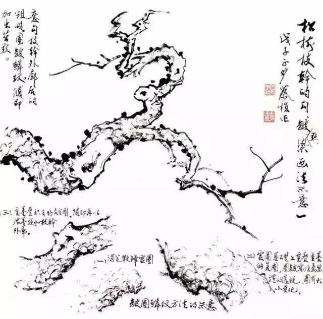 松树怎么画简单又漂亮国画,又简单又好看的松树怎么画