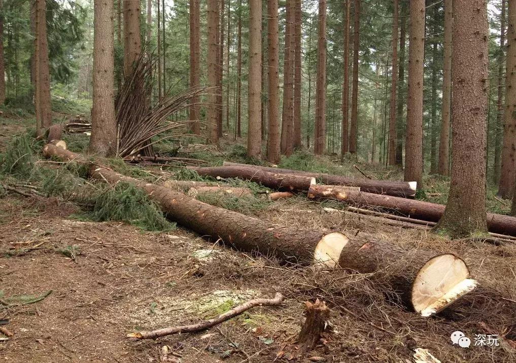 缅甸的落寞之路,缅甸的经济有多落后