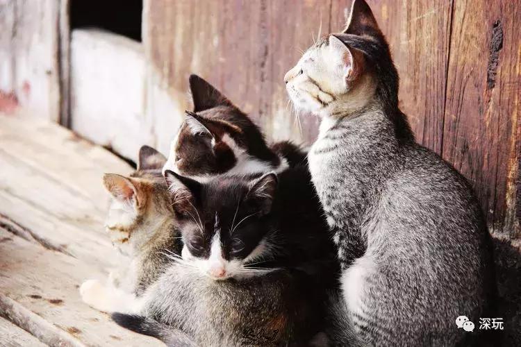 缅甸的落寞之路,缅甸的经济有多落后