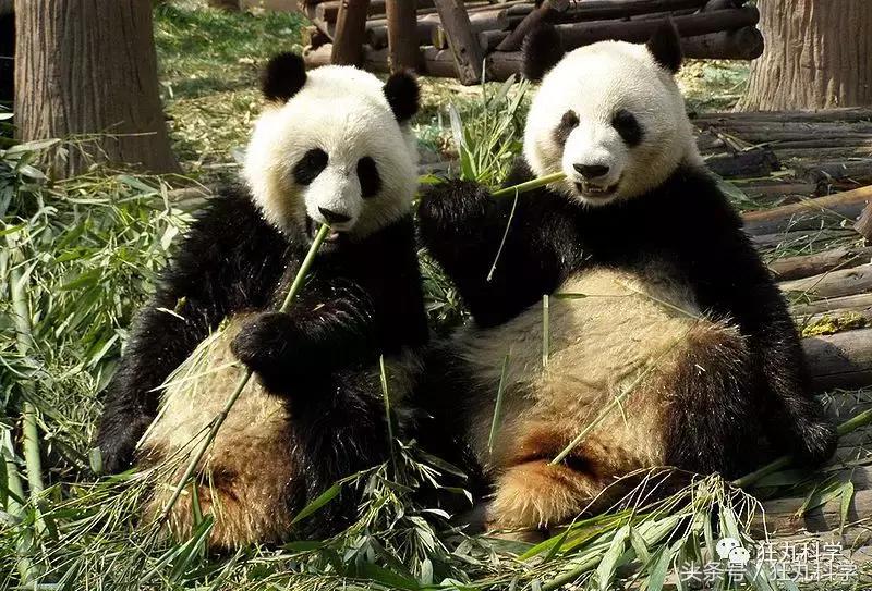 水银不是银是什么,水银不是银是水银