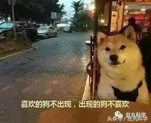 水银不是银是什么,水银不是银是水银