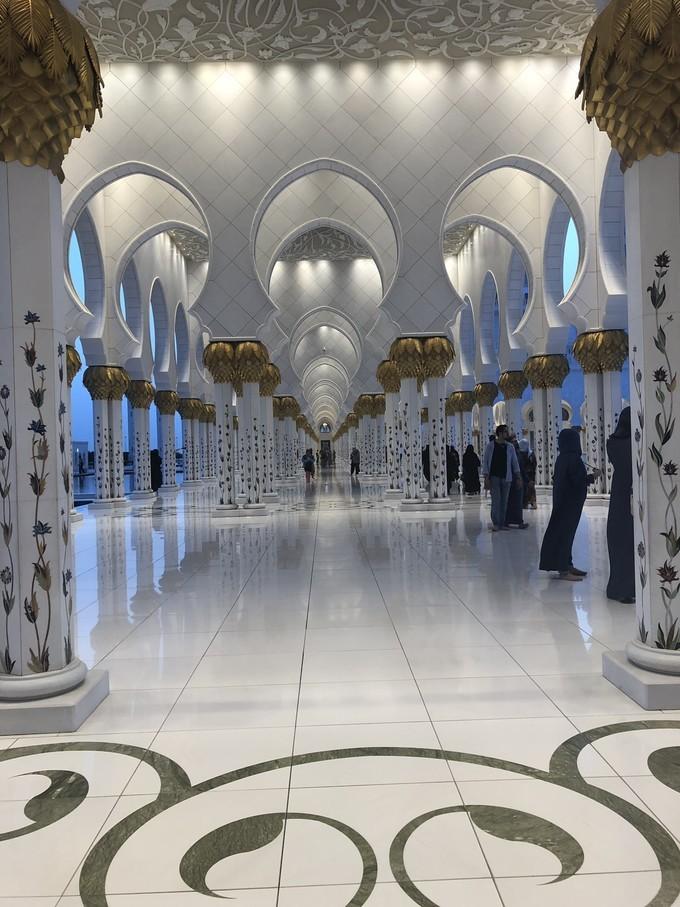 阿联酋沙漠之旅骑着骆驼去旅行,记录一次说走就走的阿联酋迪拜游