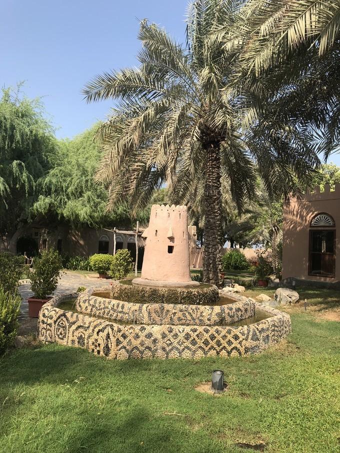 阿联酋沙漠之旅骑着骆驼去旅行,记录一次说走就走的阿联酋迪拜游