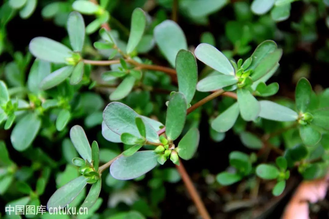 充电10分钟，水嫩一整天！这盒澳洲“断货王”面膜也太好用了吧！
