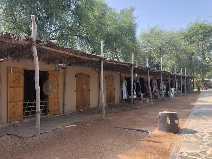 阿联酋沙漠之旅骑着骆驼去旅行,记录一次说走就走的阿联酋迪拜游