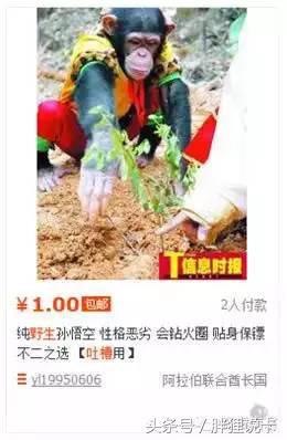 葫芦娃六娃隐身大法,葫芦娃有内部交易吗