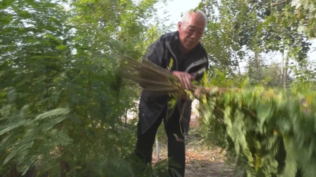 指尖上的舞蹈教案,编篓子的舞蹈