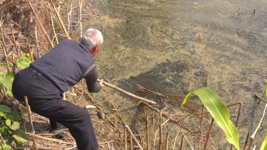 指尖上的舞蹈教案,编篓子的舞蹈