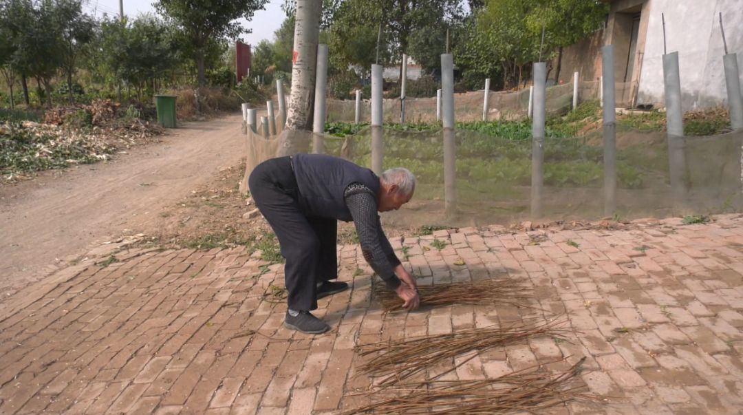 指尖上的舞蹈教案,编篓子的舞蹈