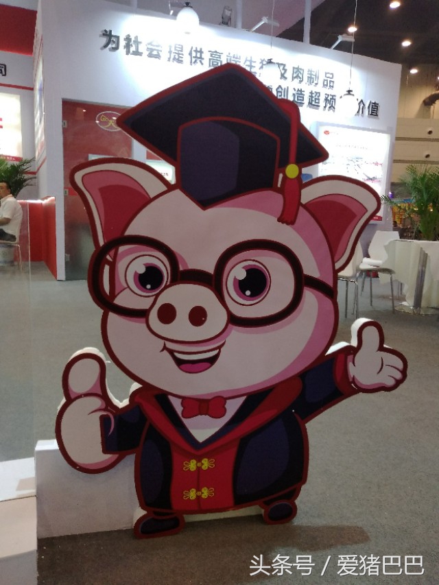 关于预防冬季猪流感疾病通告,预防猪流感的最佳方法