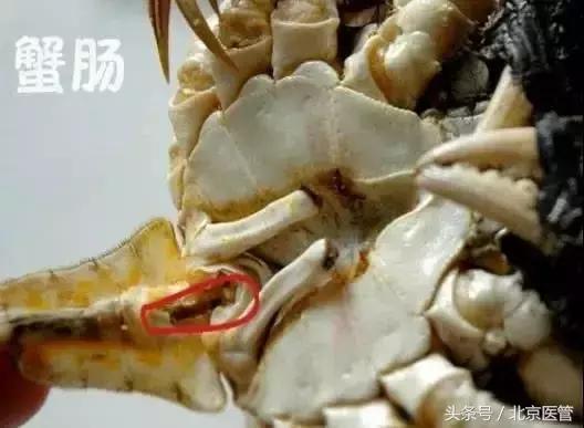 吃完螃蟹后的注意事项,吃完螃蟹之后要注意什么