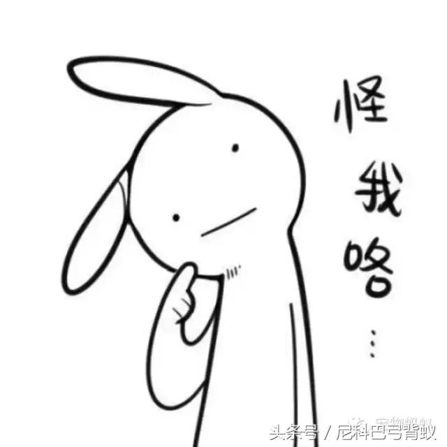 红火蚁vs杀人蜂,和红火蚁一样危害巨大的蚂蚁