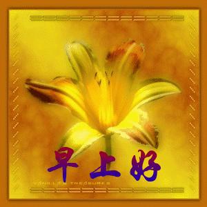 珍惜朋友的句子暖心早上好,人生短暂珍惜时光开心快乐每一天