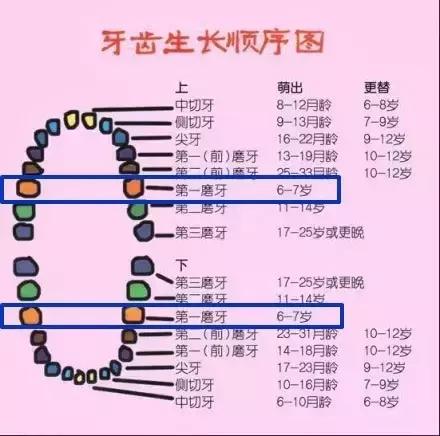 7岁女孩牙齿都是坏的怎么办,15岁孩子大牙龋坏一直不掉