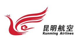 国内各个航空公司的logo,最新航空公司标志大全中国民航网