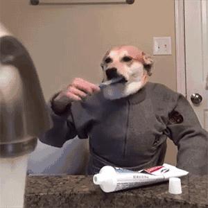 六款止血牙膏品牌,哪个牌子的牙膏能止血效果最好