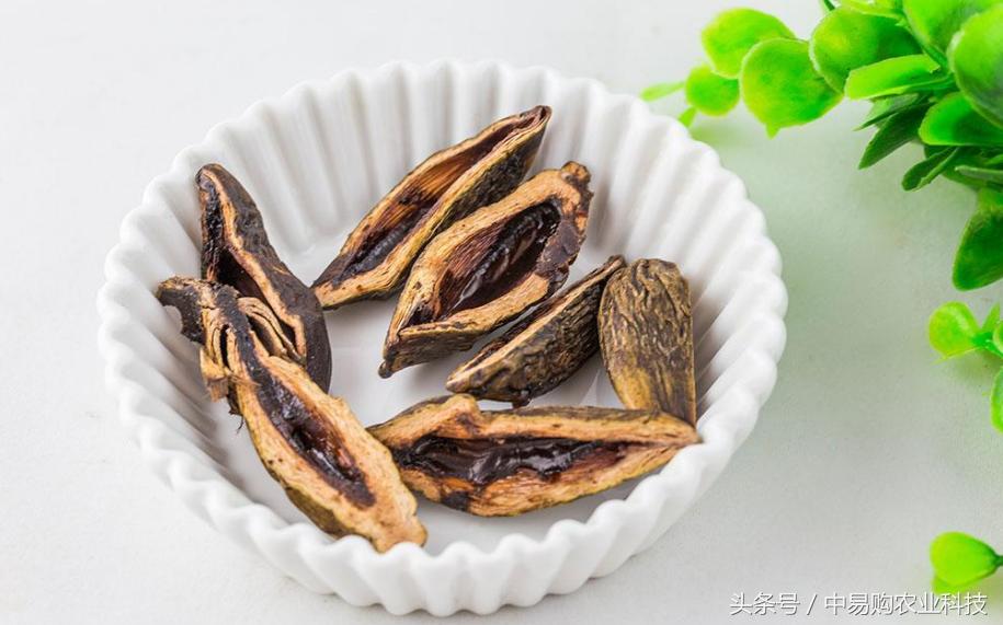 吃槟榔的害处到底有多大,槟榔的危害有多大看完你还敢吃吗