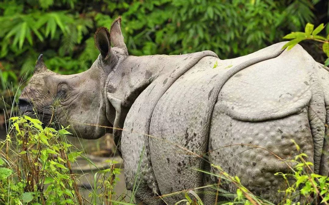 一个人最好的旅行地尼泊尔,旅行路上的尼泊尔