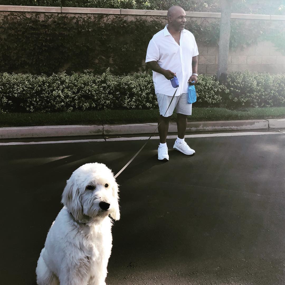 52岁拳王泰森近况,泰森跑车