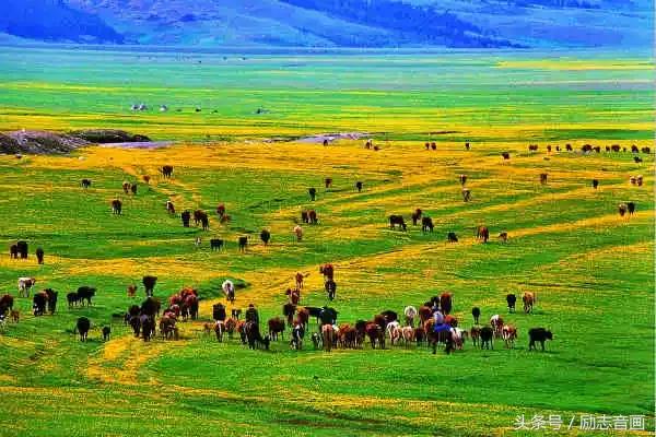 各地水果特产一览表,全国各地零食特产一览表
