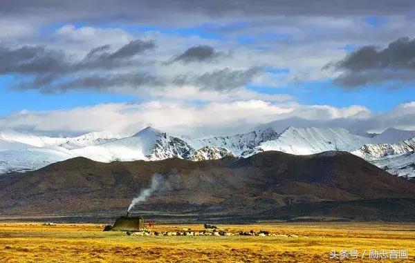 各地水果特产一览表,全国各地零食特产一览表