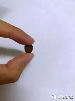 金装猫粮哪种最好,性价比高的猫粮测评真实