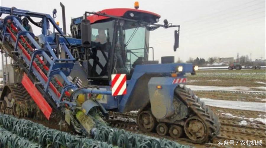 海外蔬菜收获机,蔬菜收获机