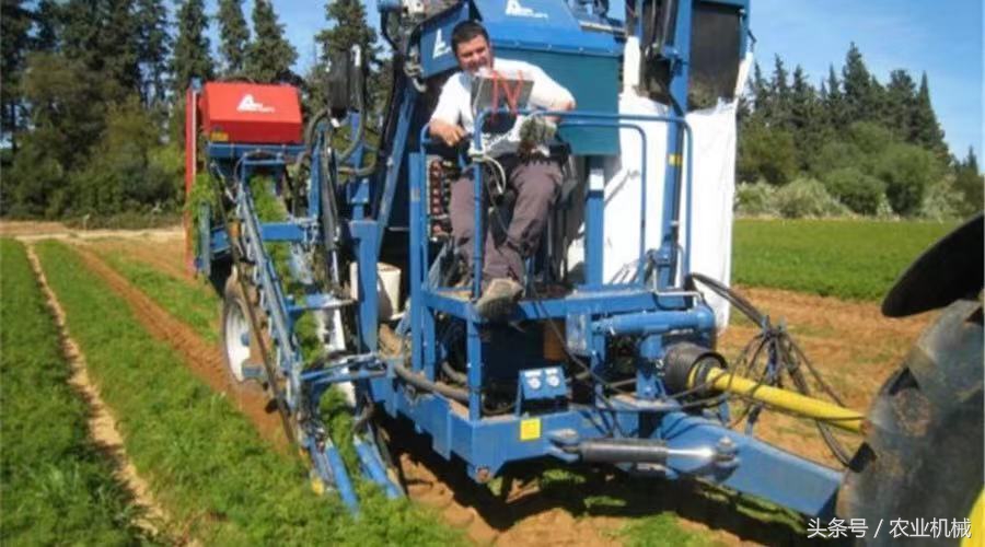 海外蔬菜收获机,蔬菜收获机