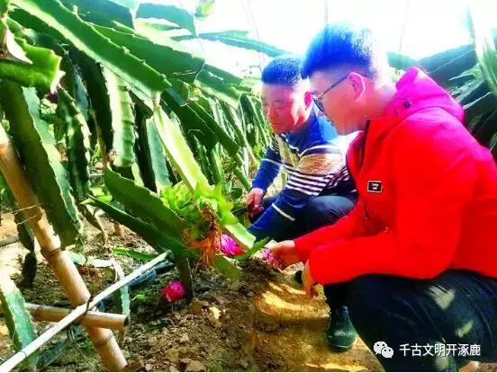 涿鹿发展,涿鹿县的发展