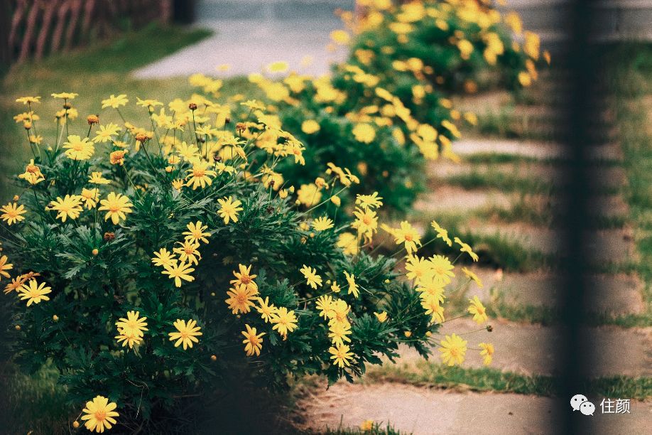 结束北漂生活，她花50w打造自己的私人庇护所，慢生活从此开始