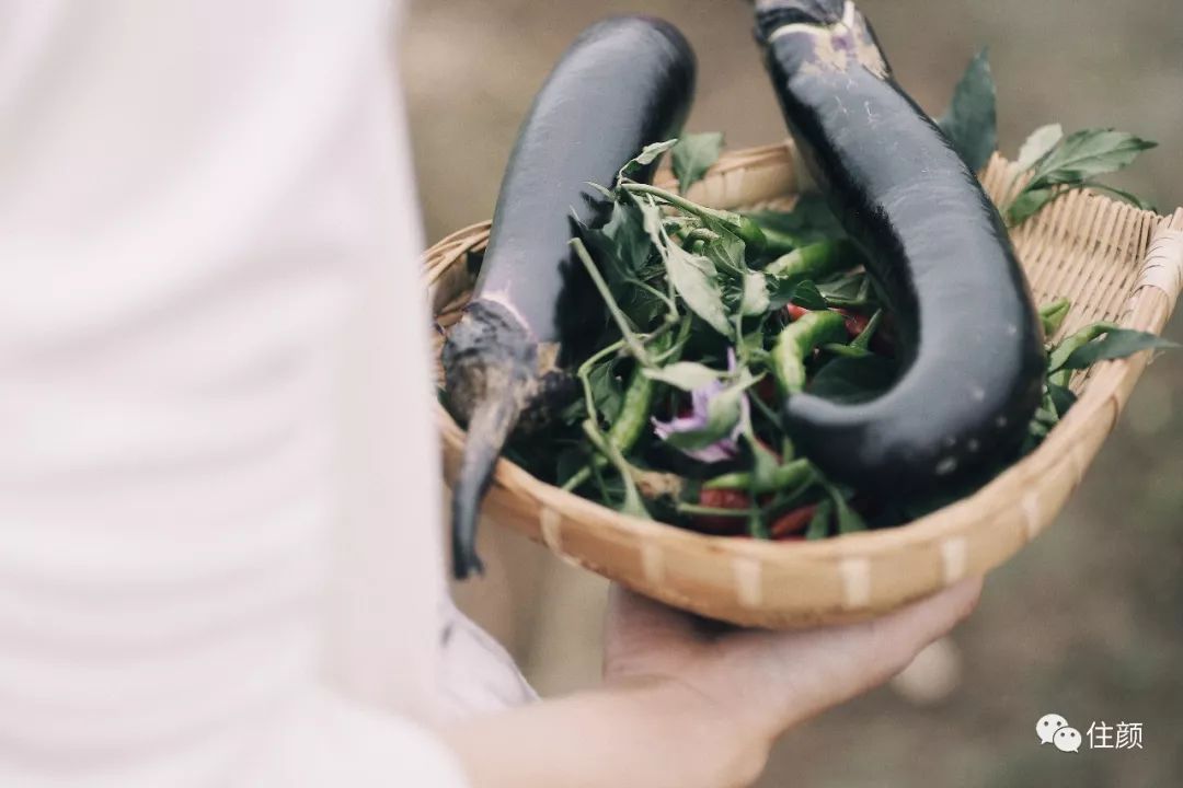 结束北漂生活，她花50w打造自己的私人庇护所，慢生活从此开始