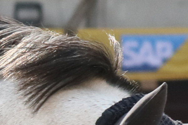 适马501001.8镜头评测,适马35mmf1.4dgdn评测