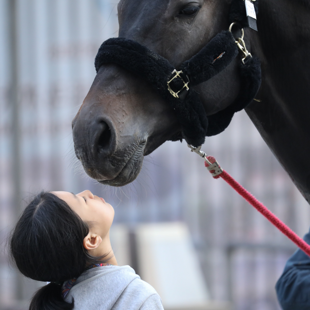 适马501001.8镜头评测,适马35mmf1.4dgdn评测