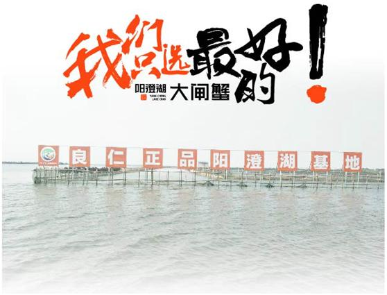 那些年，台湾明星偷渡阳澄湖大闸蟹戏码年年演，竟是孝敬干妈！