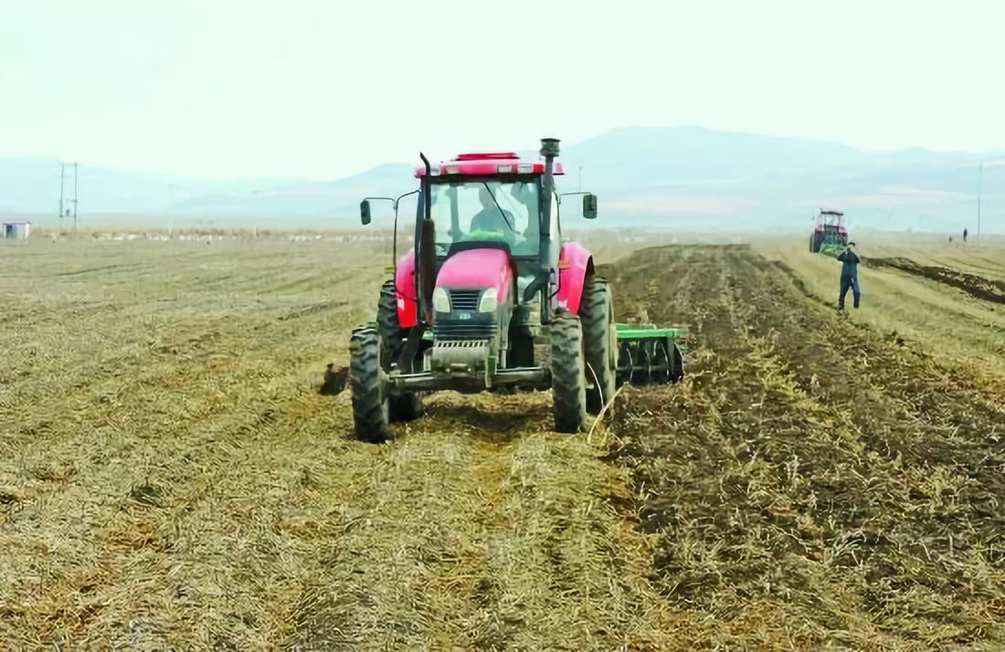生鲜电商难盈利,悲哀电商